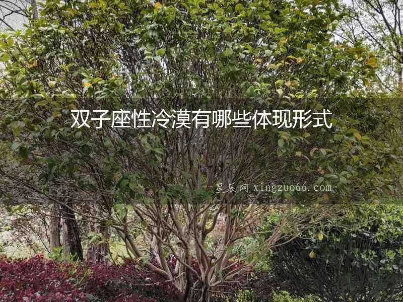 雙子座性冷漠有哪些體現形式