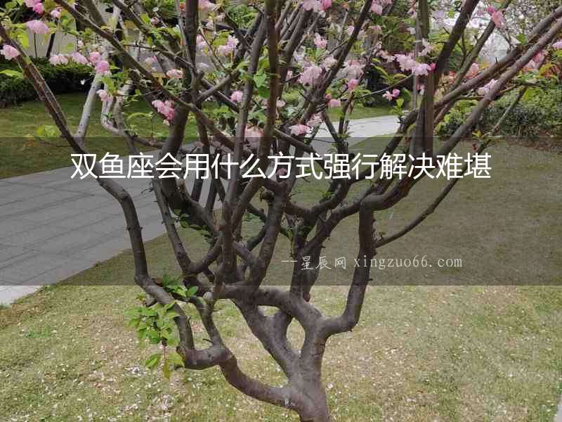 雙魚座會用什么方式強(qiáng)行解決難堪