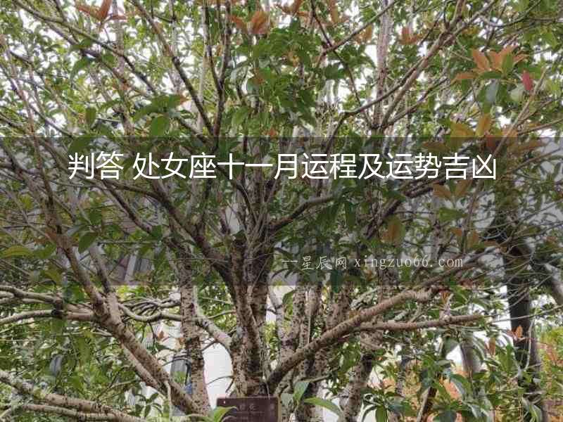 判答 處女座十一月運(yùn)程及運(yùn)勢吉兇