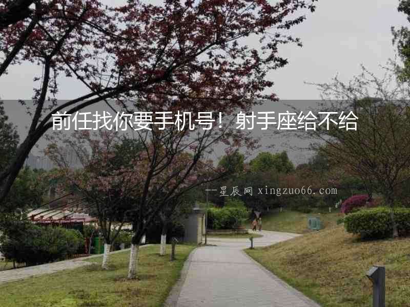 前任找你要手機號！射手座給不給
