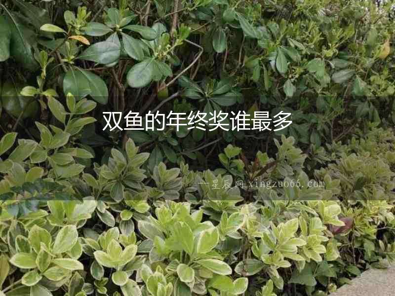 雙魚的年終獎(jiǎng)?wù)l最多