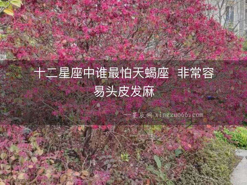 十二星座中誰最怕天蝎座  非常容易頭皮發麻
