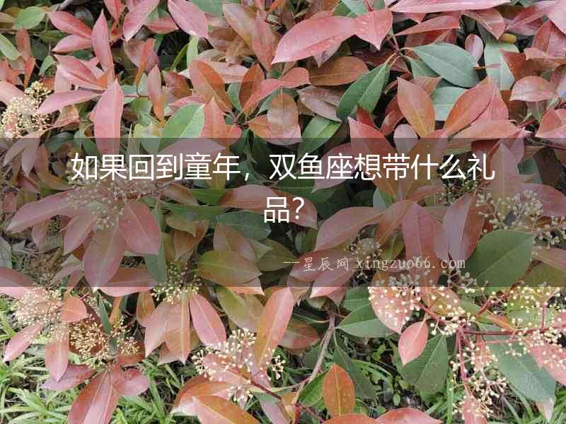 如果回到童年，雙魚座想帶什么禮品？