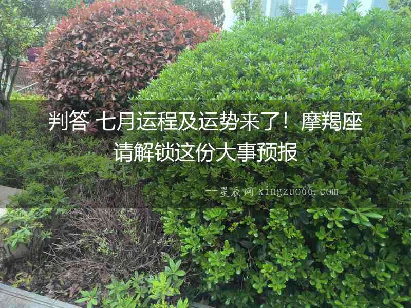 判答 七月運程及運勢來了！摩羯座請解鎖這份大事預報