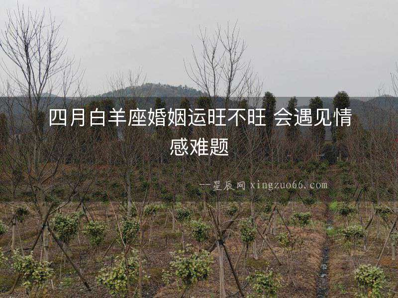 四月白羊座婚姻運旺不旺 會遇見情感難題
