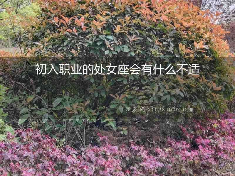 初入職業的處女座會有什么不適