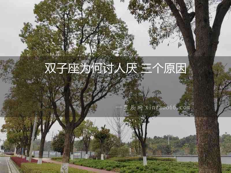 雙子座為何討人厭 三個(gè)原因