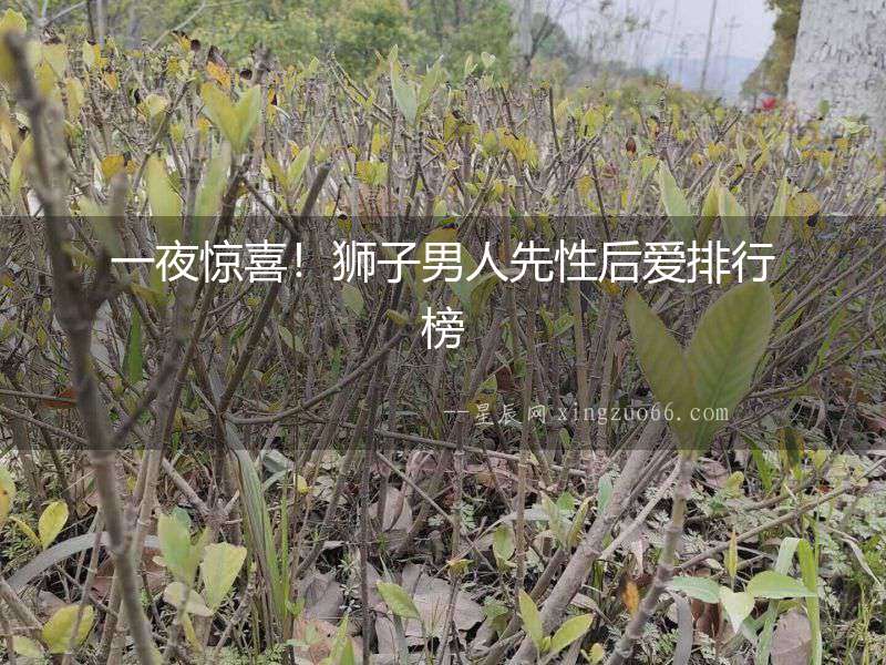 一夜驚喜！獅子男人先性后愛排行榜