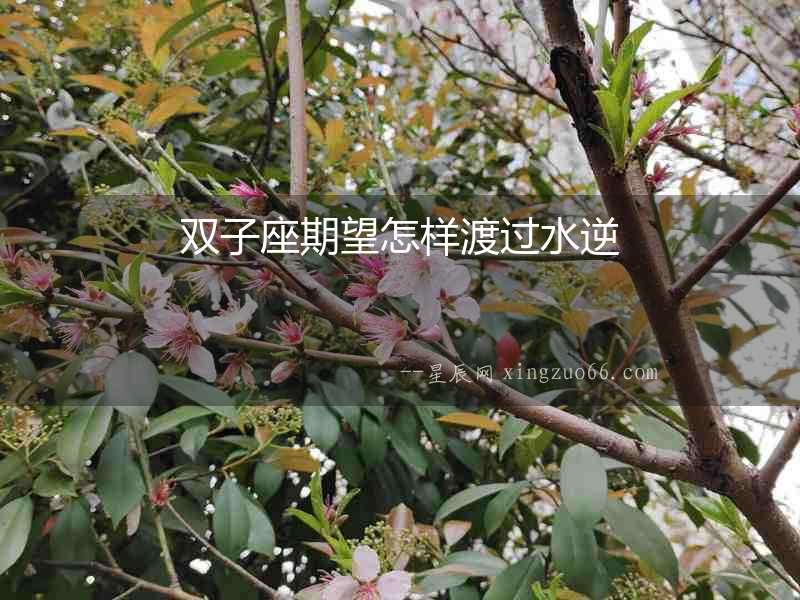 雙子座期望怎樣渡過(guò)水逆