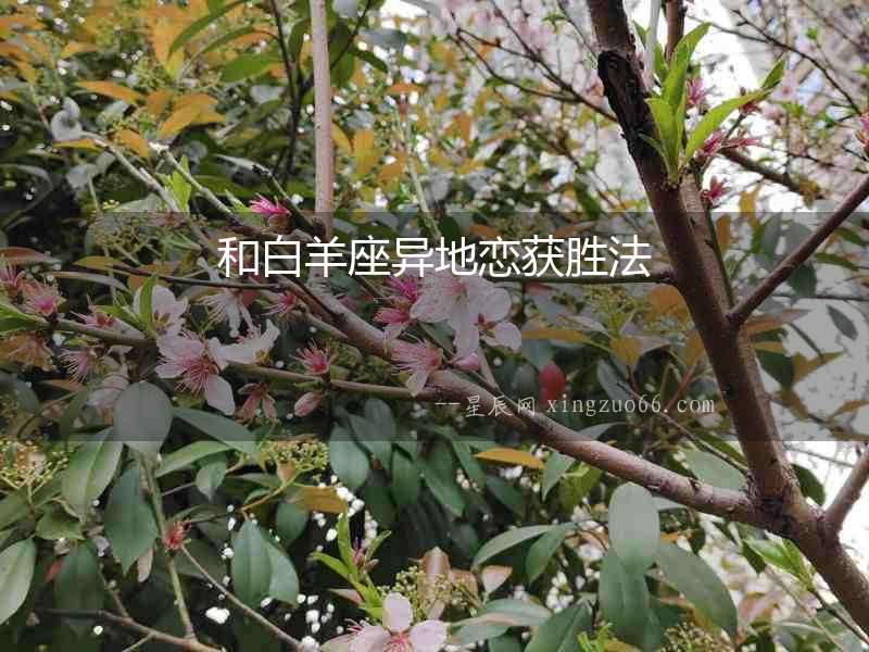 和白羊座異地戀獲勝法