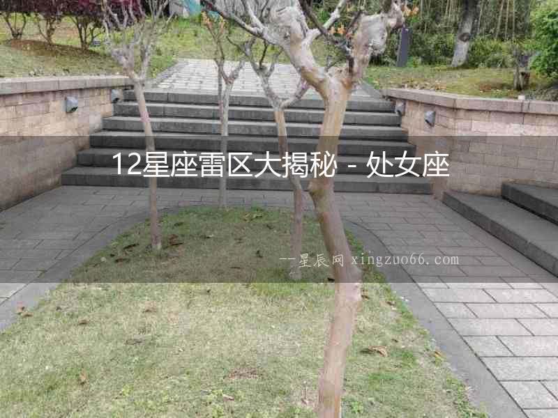12星座雷區(qū)大揭秘 - 處女座
