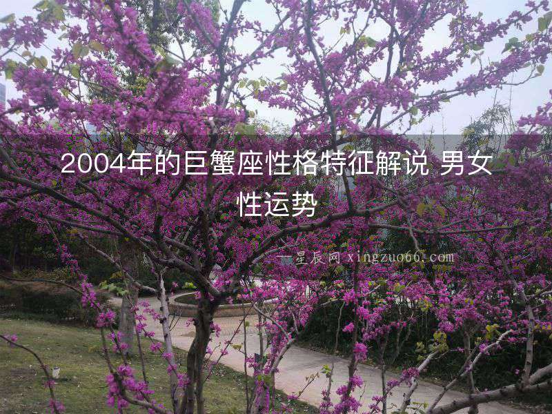 2004年的巨蟹座性格特征解說 男女性運(yùn)勢