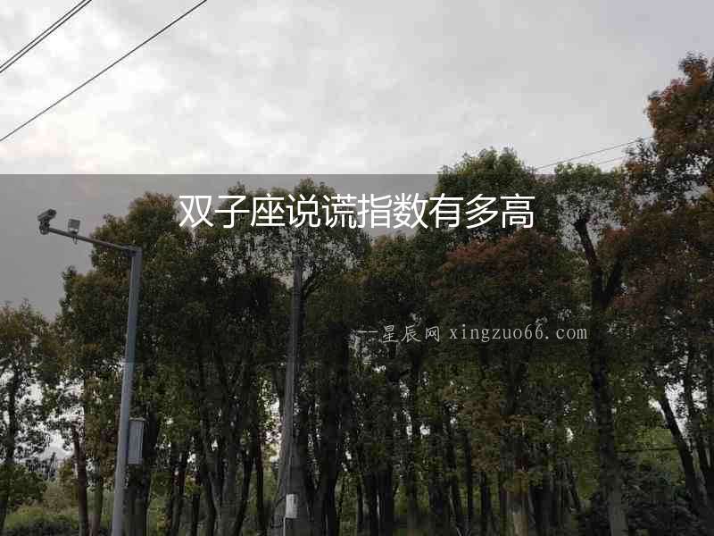雙子座說謊指數(shù)有多高