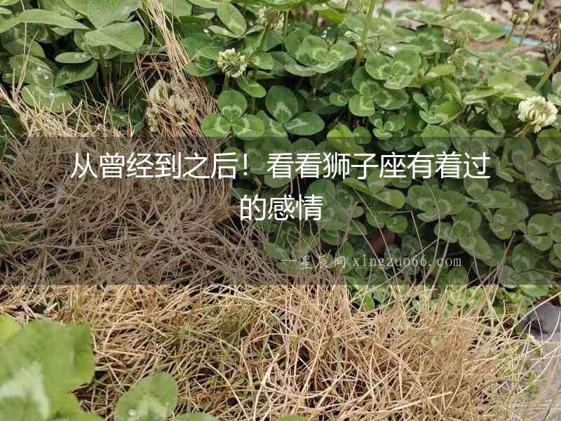 從曾經到之后！看看獅子座有著過的感情