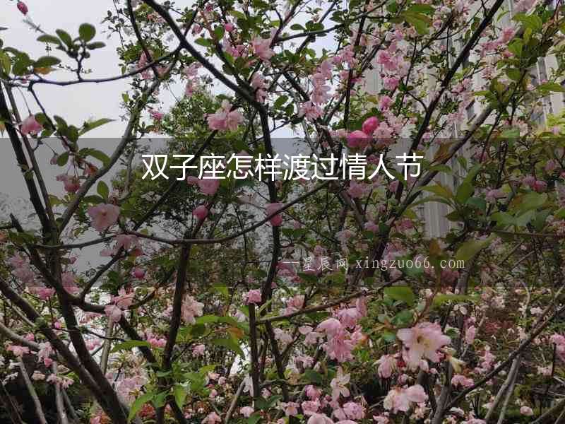 雙子座怎樣渡過情人節