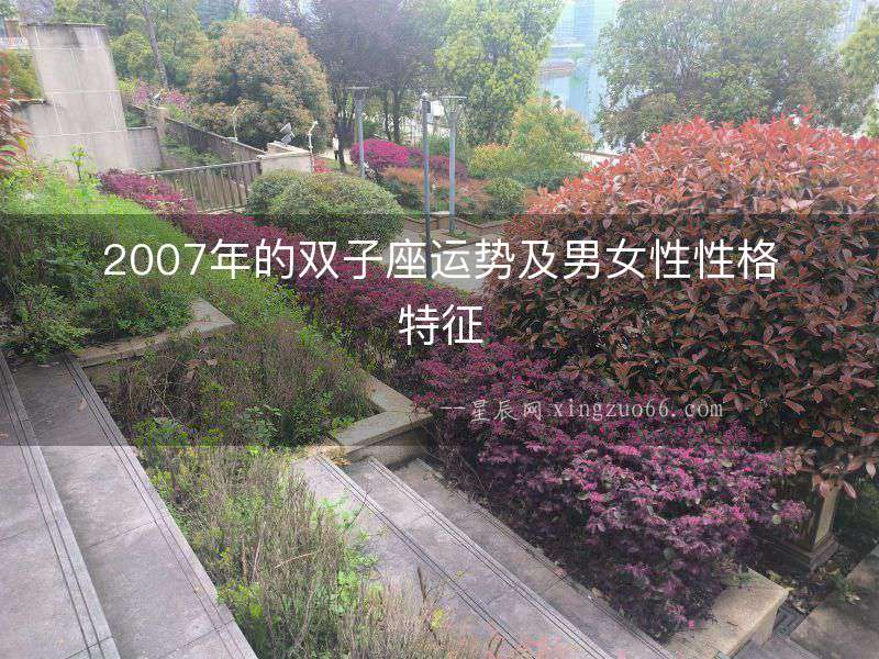 2007年的雙子座運(yùn)勢(shì)及男女性性格特征