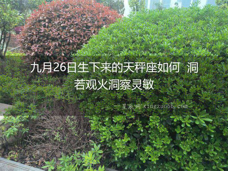 九月26日生下來的天秤座如何  洞若觀火洞察靈敏