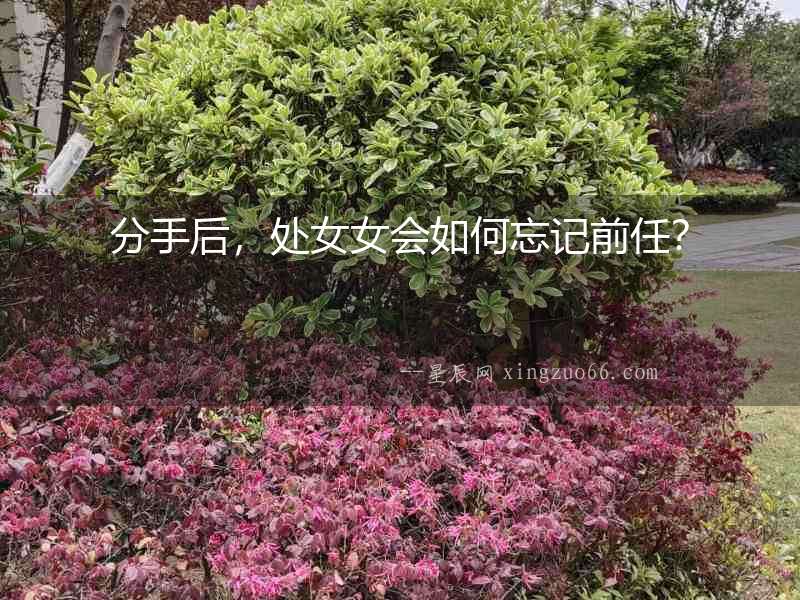 分手后，處女女會如何忘記前任？