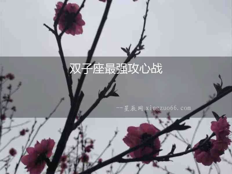 雙子座最強(qiáng)攻心戰(zhàn)