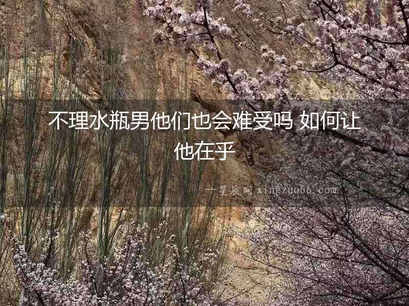 不理水瓶男他們也會難受嗎 如何讓他在乎