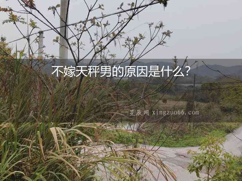 不嫁天秤男的原因是什么？