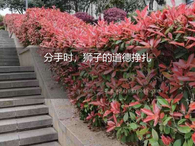 分手時，獅子的道德掙扎