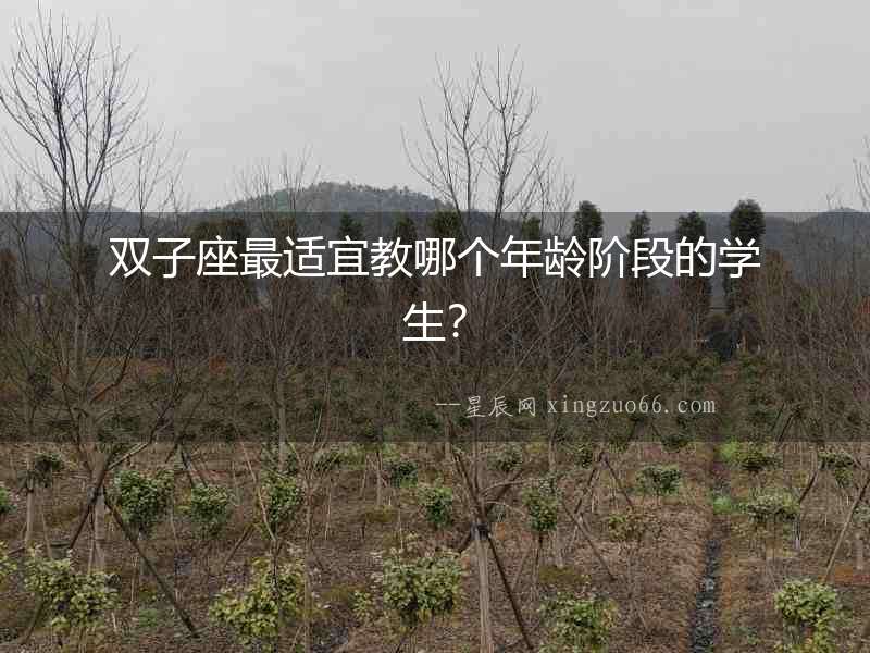 雙子座最適宜教哪個(gè)年齡階段的學(xué)生？