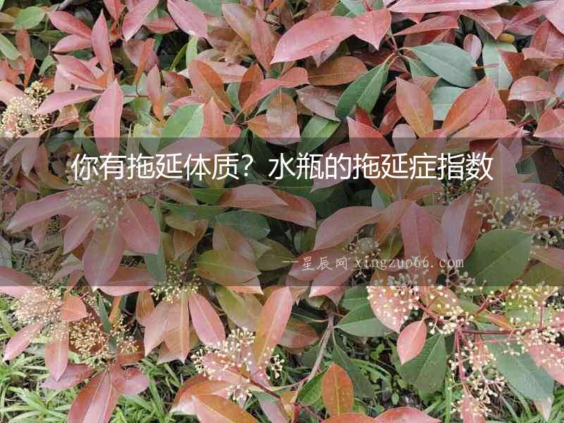你有拖延體質(zhì)？水瓶的拖延癥指數(shù)