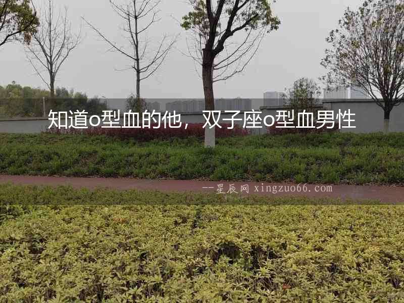 知道o型血的他，雙子座o型血男性