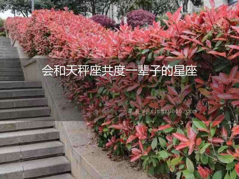 會和天秤座共度一輩子的星座
