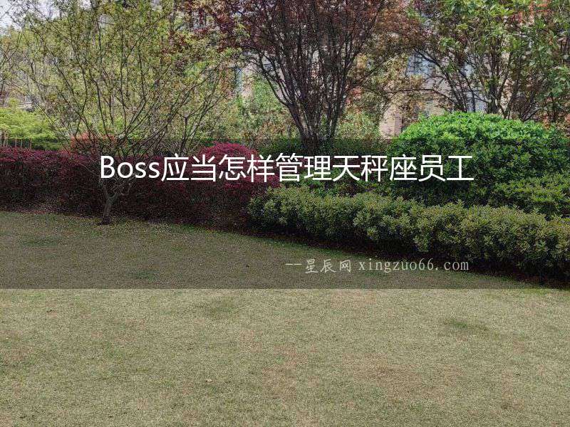 Boss應(yīng)當(dāng)怎樣管理天秤座員工