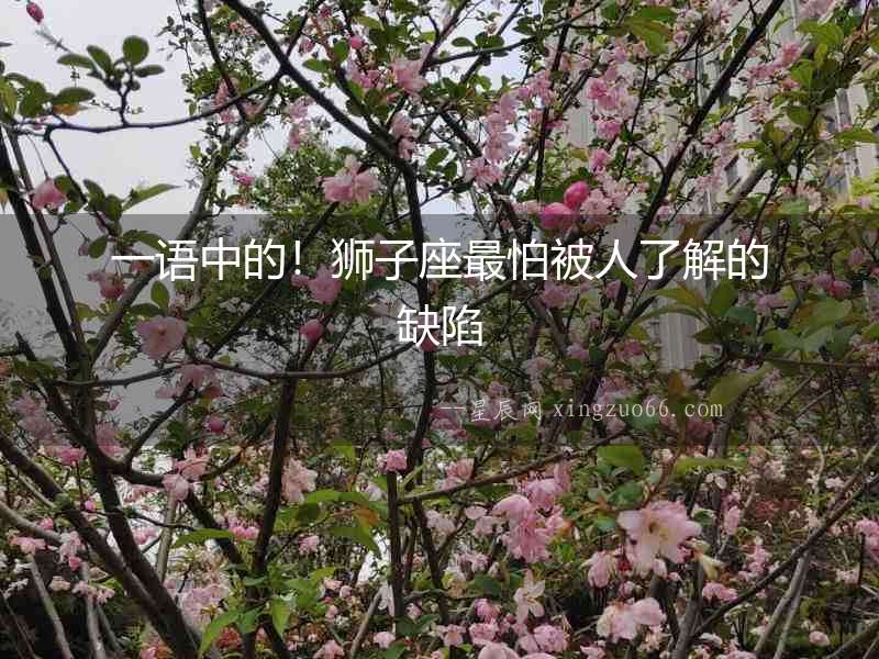 一語中的！獅子座最怕被人了解的缺陷