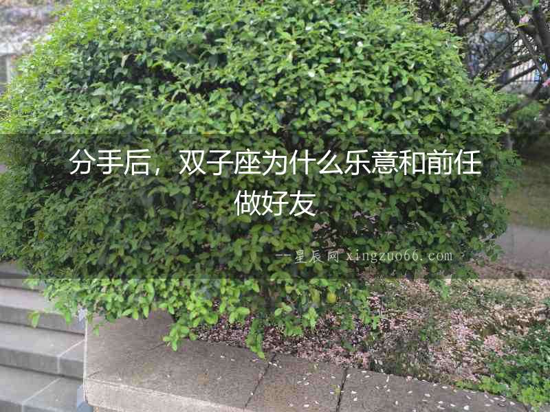分手后，雙子座為什么樂意和前任做好友