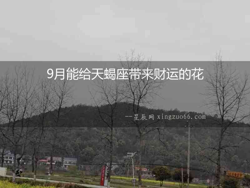 9月能給天蝎座帶來(lái)財(cái)運(yùn)的花