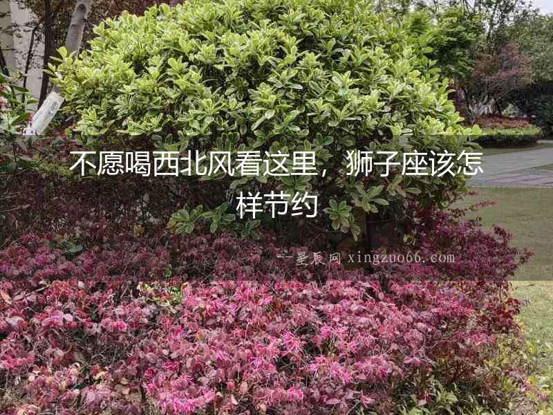 不愿喝西北風看這里，獅子座該怎樣節約