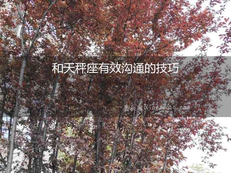 和天秤座有效溝通的技巧
