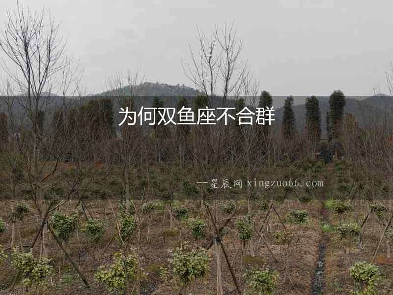 為何雙魚座不合群