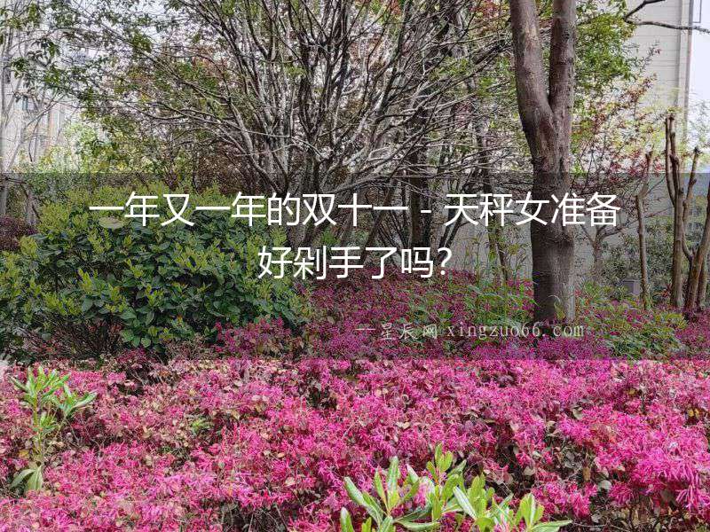 一年又一年的雙十一－天秤女準(zhǔn)備好剁手了嗎？
