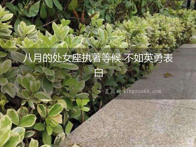八月的處女座執(zhí)著等候 不如英勇表白
