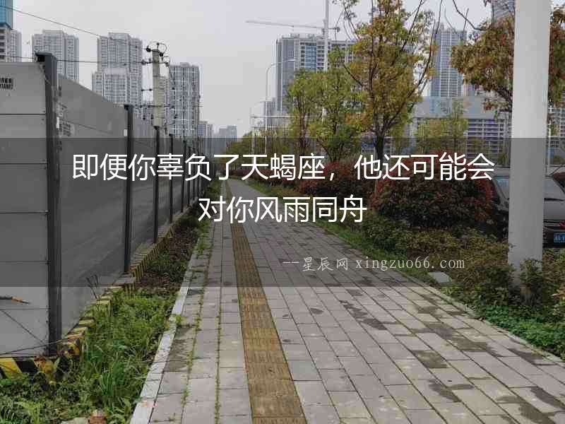 即便你辜負了天蝎座，他還可能會對你風雨同舟