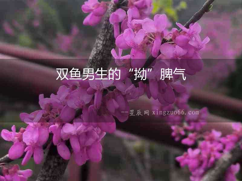 雙魚男生的“拗”脾氣