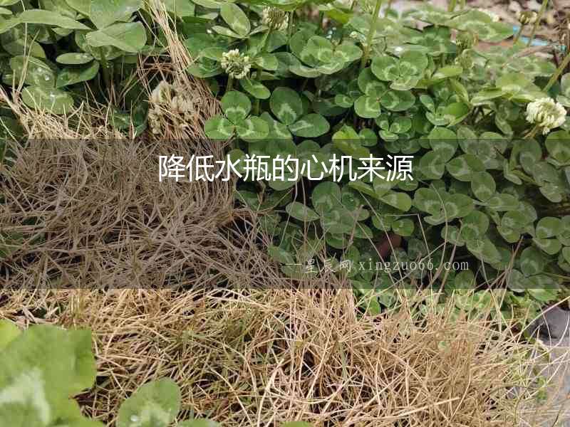 降低水瓶的心機(jī)來源