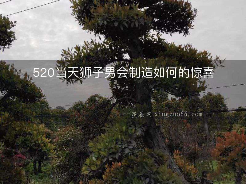 520當天獅子男會制造如何的驚喜
