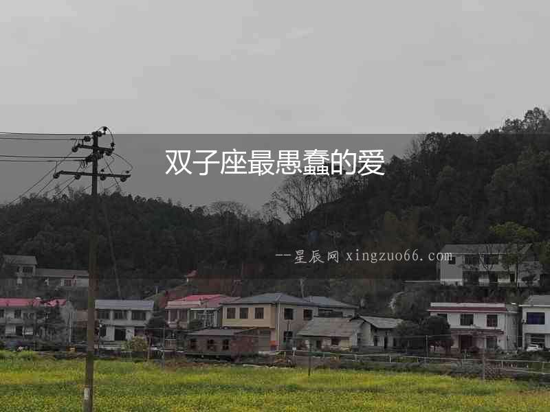 雙子座最愚蠢的愛(ài)