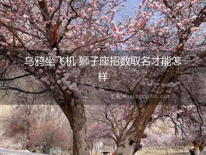 烏鴉坐飛機(jī) 獅子座招數(shù)取名才能怎樣