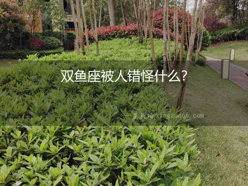 雙魚座被人錯怪什么？