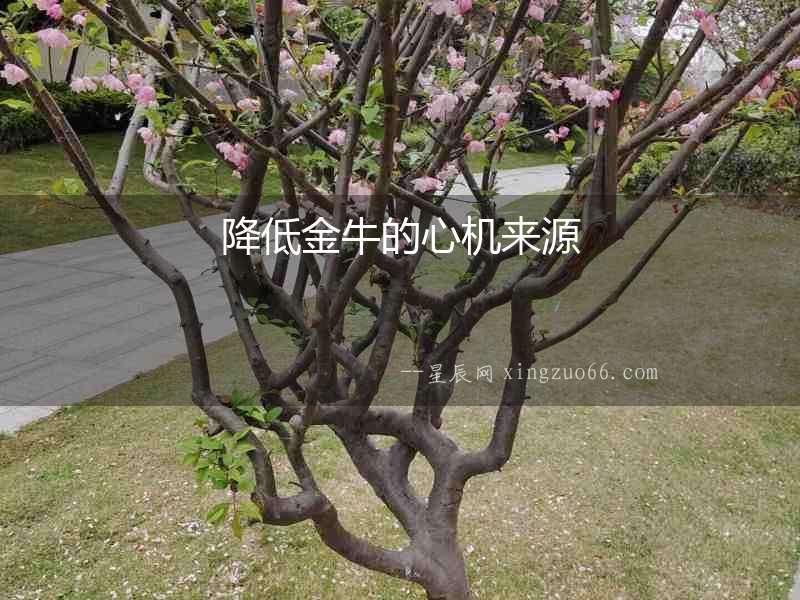 降低金牛的心機來源