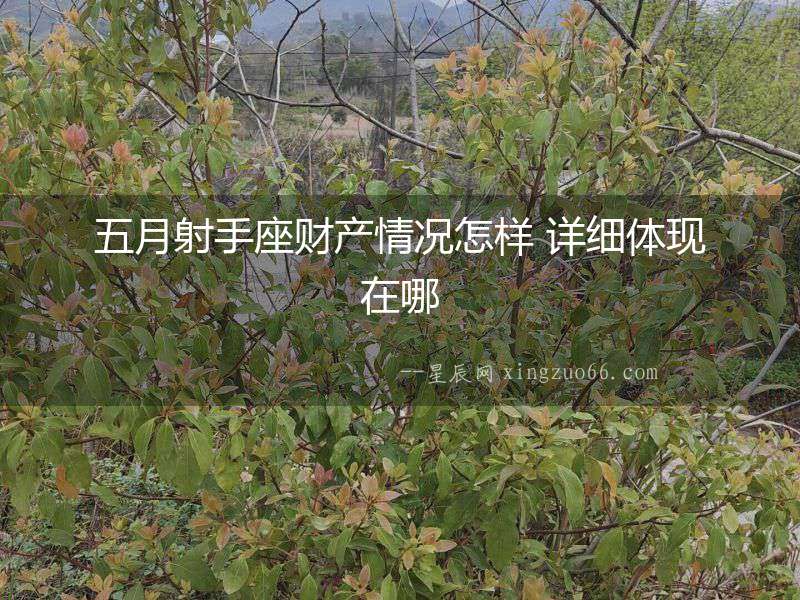 五月射手座財產(chǎn)情況怎樣 詳細體現(xiàn)在哪