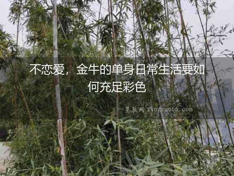 不戀愛，金牛的單身日常生活要如何充足彩色