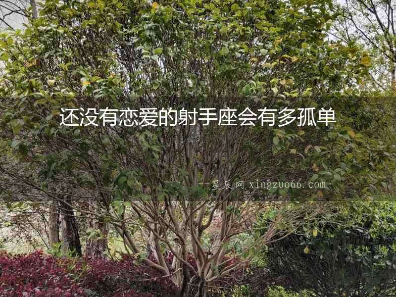 還沒(méi)有戀愛(ài)的射手座會(huì)有多孤單